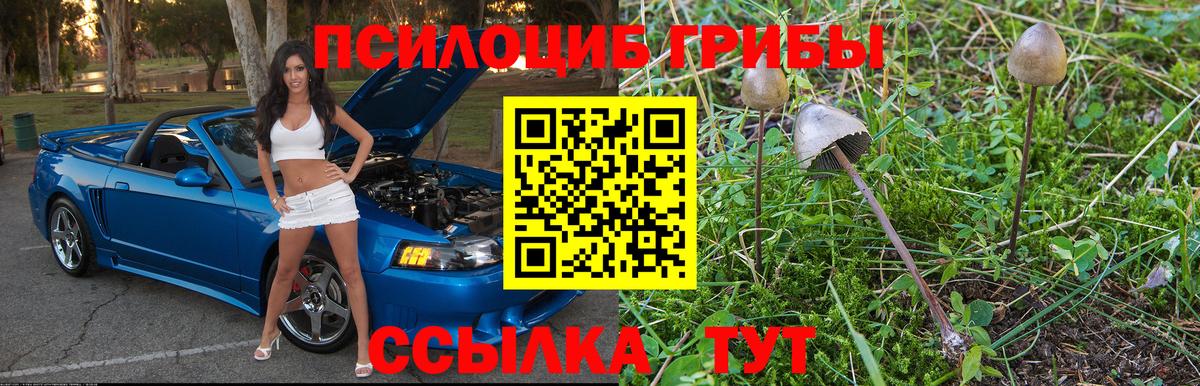 Алексеевка  Псилоцибиновые грибы GOLDEN TEACHER  Вход с VPN 