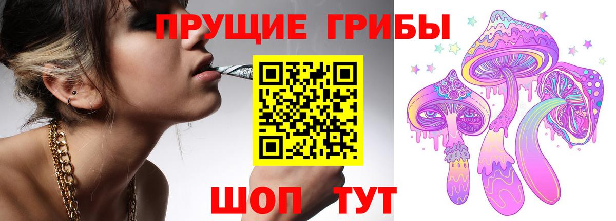 Псилоцибиновые грибы прущие грибы Алексеевка